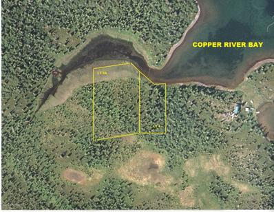 Lt 5a Copper River Bay (no Road), Remote, AK 99613 - #: 20-15431