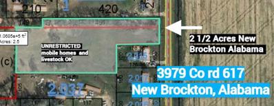 3979 (2.6 Acres Unrestricted) County Road 617, New Brockton, AL 36351 - #: 185144