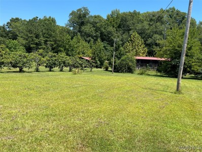 987 County Road 953 Road, Orrville, AL 36767 - MLS#: 561834