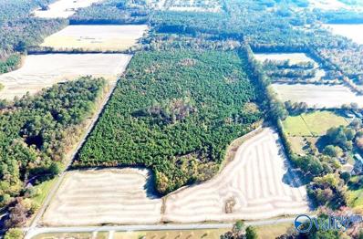 69 acres Wilson Mann Road, Owens Cross Roads, AL 35763 - #: 1815207