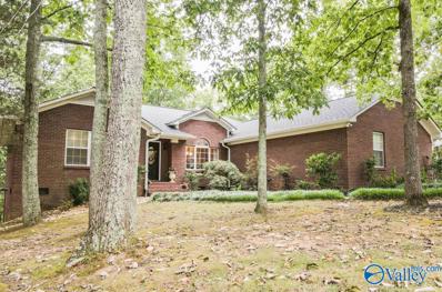 905 Morrow Mountain Road, Somerville, AL 35670 - #: 1815803