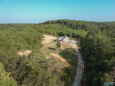 21540 County Road 33, Scottsboro, AL 35768 - #: 21842443