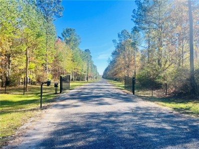 LOT 33\/33A River View Landing, Camden, AL 36726 - #: 160114