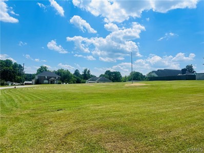 0 Tucker Drive, Livingston, AL 35470 - #: 163665