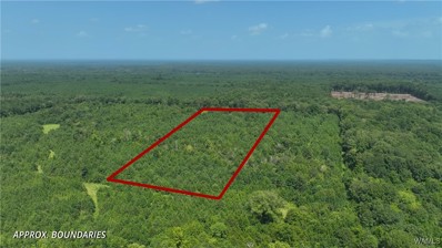 000000 000000 Federation Road, Gainesville, AL 35464 - MLS#: 165237