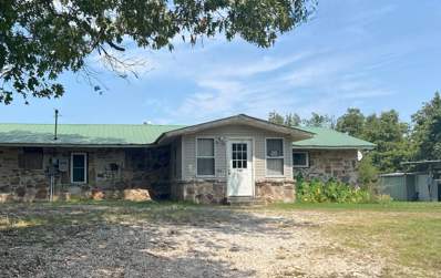 763 Spring Creek, Big Flat, AR 72617 - #: 24028728