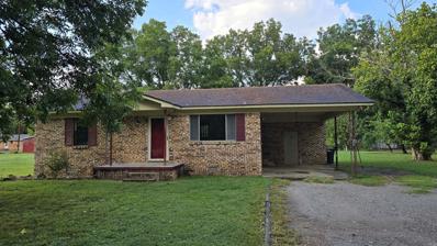 149 Nelse, Oil Trough, AR 72564 - MLS#: 24032972