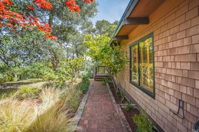 816 Spring Drive, Mill Valley, CA 94941 - #: 322054474