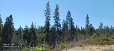 MLS: CROR24206862