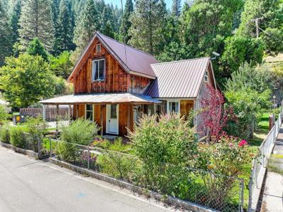 715 Main, Downieville, CA 95936 - #: 224096777