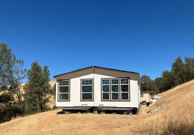 14994 Fremont Mine Road, Amador City, CA 95601 - #: 224100794