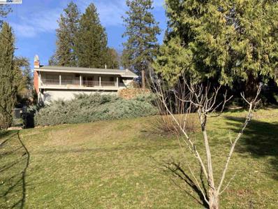 830 S Canyon Way, Colfax, CA 95713 - #: 41018863