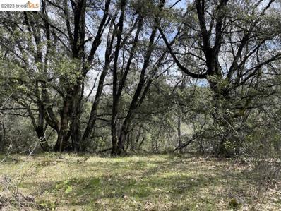 Forest Route 3N03, Columbia, CA 95310 - #: 41024232