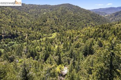 1 Panther Gap, Honeydew, CA 95545 - MLS#: 41036412