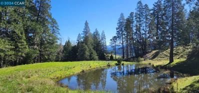 Salmon Creek Rd, Myers Flat, CA 95553 - #: 41054781