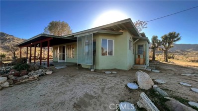 8763 Willow Lane, Joshua Tree, CA 92252 - #: IV23022021