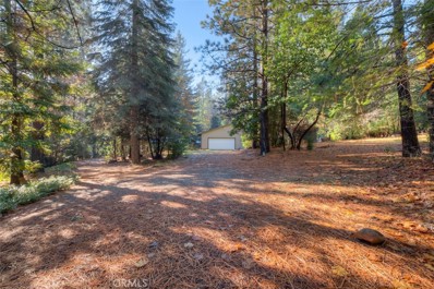 15 Kirsty Crescent Court, Forbestown, CA 95941 - #: OR23226658