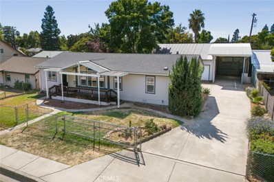 245 Ohio Street, Gridley, CA 95948 - #: OR24191249