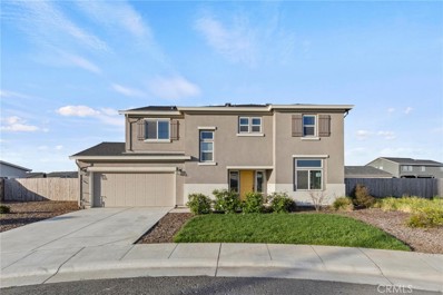514 Voyager Court, Colusa, CA 95932 - MLS#: PA24060752
