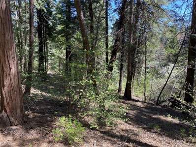 865 Maple Road, Lake Arrowhead, CA 92385 - #: SW21049749