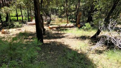 1555 James Drive, Camp Nelson, CA 93265 - #: 147144