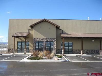 12059 6300 Unit 102 & 103 And Tbd 6300 Rd Road, Montrose, CO 81401 - #: 754227