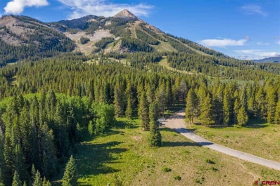 725 Prospect, Mt. Crested Butte, CO 81224 - #: 780345