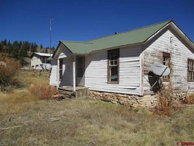 504 State, Pitkin, CO 81241 - #: 781211