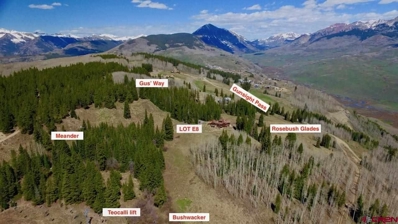 22 Gray Fox, Mt. Crested Butte, CO 81225 - #: 782618