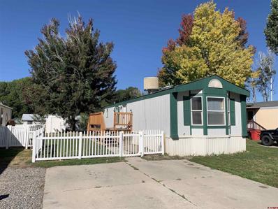 62880 Lasalle Unit 3, Montrose, CO 81401 - #: 798326