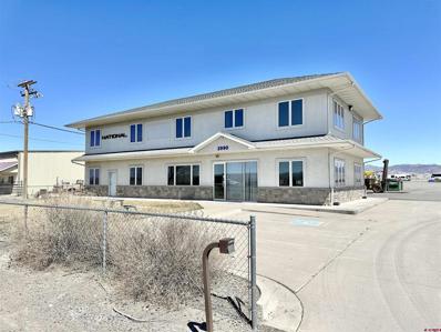 2990 N Townsend Avenue, Montrose, CO 81401 - #: 802832