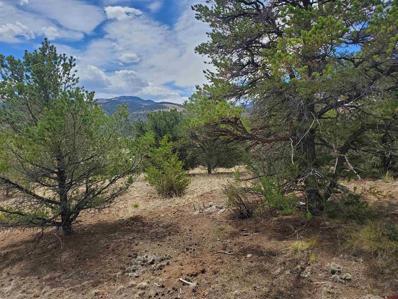 369 Vail Pass Road And Lot 18 Loveland, South Fork, CO 81154 - #: 803975