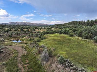 Tbd Highway 84, Tierra Amarilla, CO 87575 - #: 807422