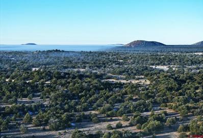 222 Chato Flat, Ramah, NM 87321 - MLS#: 810762