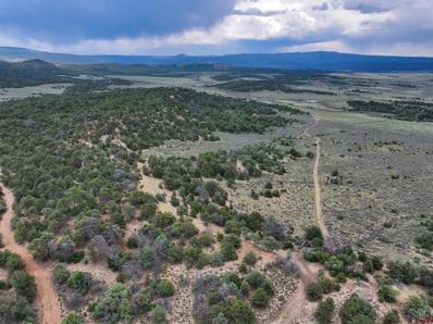 TBD Highway 84, Tierra Amarilla, CO 87575 - MLS#: 819435