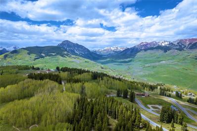 726 Prospect Drive, Mt Crested Butte, CO 81225 - #: 9359175