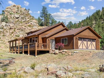 1466 Narcissus Drive, Estes Park, CO 80517 - #: IR1017435