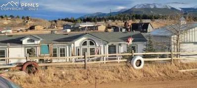 82 Valley View Drive, Divide, CO 80814 - #: 1907384