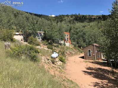 5665 County Road, Victor, CO 80860 - #: 2334926