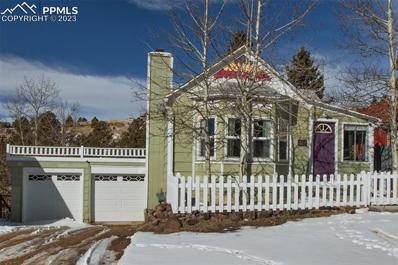 319 S 5th Street, Victor, CO 80860 - #: 6254088