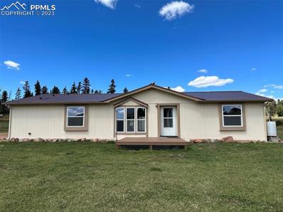 288 Valley View Drive, Divide, CO 80814 - #: 7028081