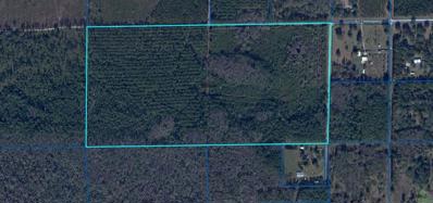 Tbd B1 Nw 290TH Avenue, Alachua, FL 32615 - #: GC507516