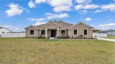 431 Gandy Cemetery Road, Bartow, FL 33830 - MLS#: L4943142