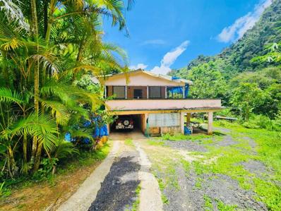 149 Pr-149, Orocovis, PR 00720 - MLS#: PR9108685