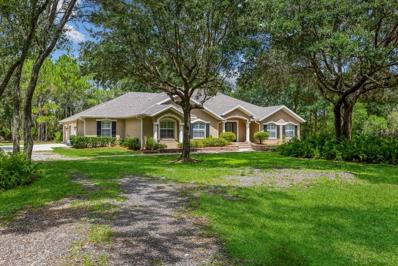 3102 Arrowsmith Road, Wimauma, FL 33598 - #: T3402478