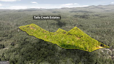 0 Tails Creek Overlook, Ellijay, GA 30540 - #: 10288004