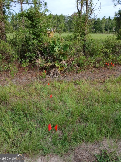 LOT C OF BLK 1 Boulevard Stree, Folkston, GA 31537 - #: 10342065