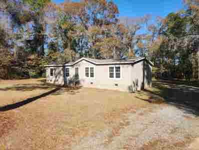182 Ty Ty Sycamore Road, Ty Ty, GA 31795 - MLS#: 20096389
