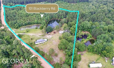 101 Blackberry Road, Swainsboro, GA 30401 - #: 20129199