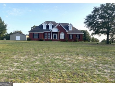 986 Juniper Mill Pond Road, Box Springs, GA 31801 - #: 20158891